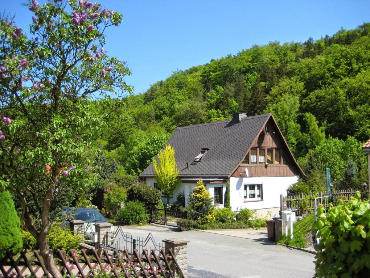 Haus Am Waldrand Daire Freital Dış mekan fotoğraf