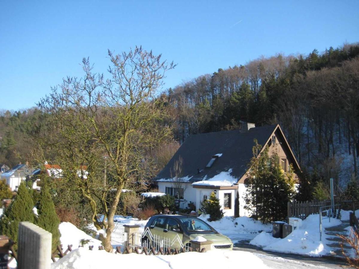 Haus Am Waldrand Daire Freital Dış mekan fotoğraf